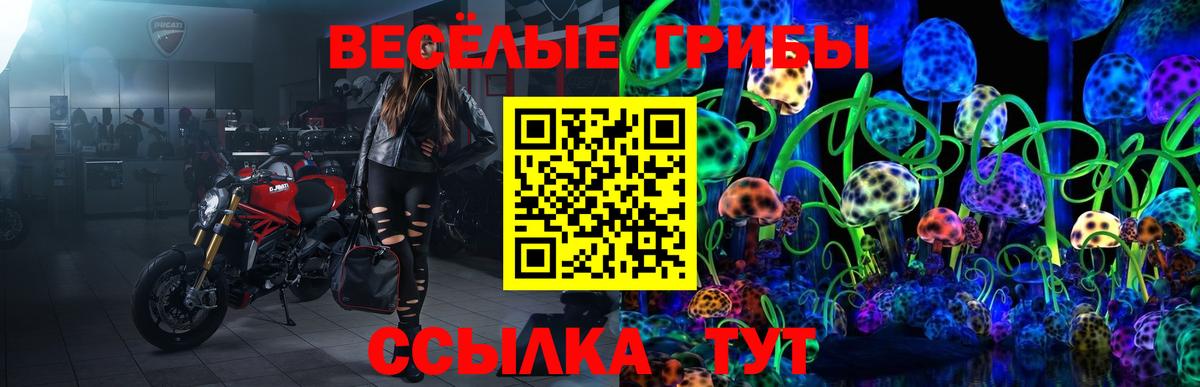 Псилоцибиновые грибы прущие грибы Вичуга