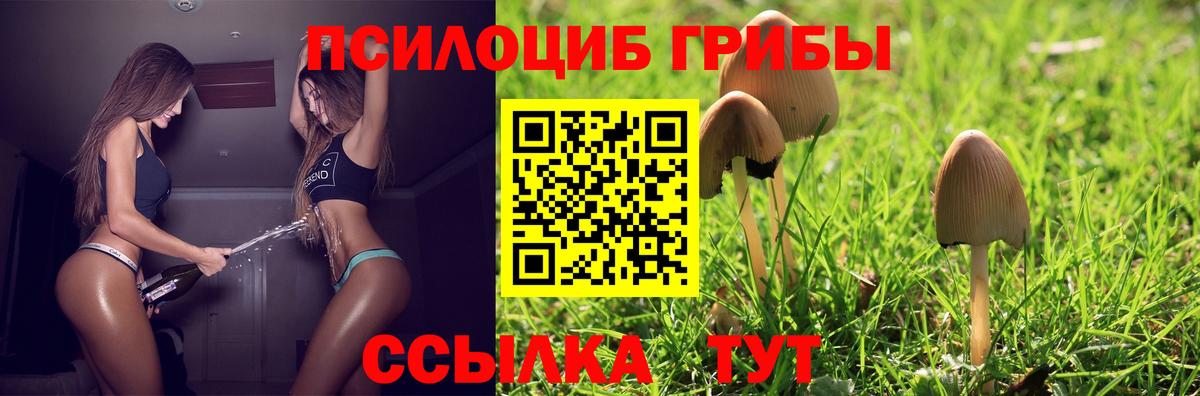 Псилоцибиновые грибы мицелий  Вход с VPN  Вичуга 